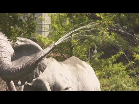 Zoo offers animals cool treats to beat the heat