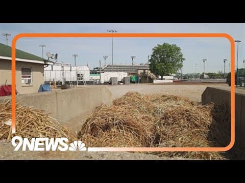 'Poop patrol': Meet the unsung heroes at the Kentucky Derby