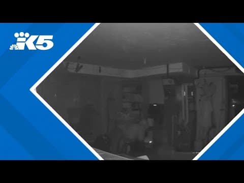 Thieves target café in Seattle’s Crown Hill neighborhood