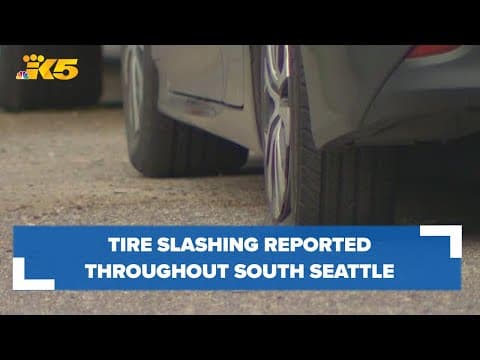 Tire slashings reported across multiple south Seattle neighborhoods