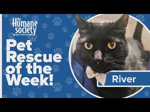 Pet Rescue of the Week: River