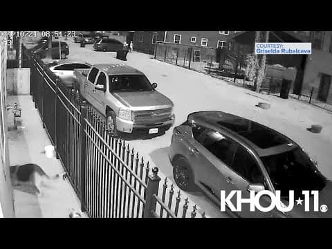 VIDEO: Frightened east Houston residents, dog react after chopper crashes nearby