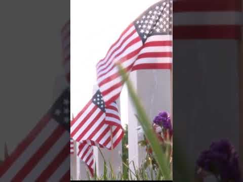 American flags placed near graves at Fort Snelling National Cemetery on #MemorialDay #shorts #kare11