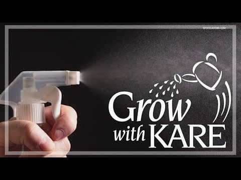 Grow with KARE: Using vinegar to kill weeds