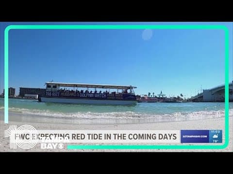 FWC expecting red tide in coming days in Tampa Bay area