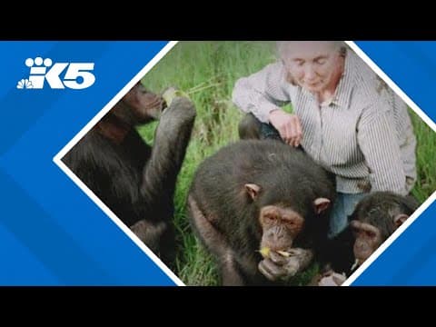 Conservationist Jane Goodall dies