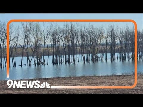 Hundreds of trees in Chatfield Reservoir will be cut down