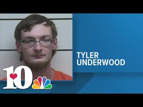 MCSO: Man faces six counts of animal cruelty after puppies found dead in tote bag in Morgan County