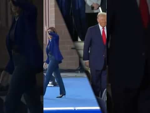 Election Day Arrives in USA: Results Being Calculated in 2024 Races