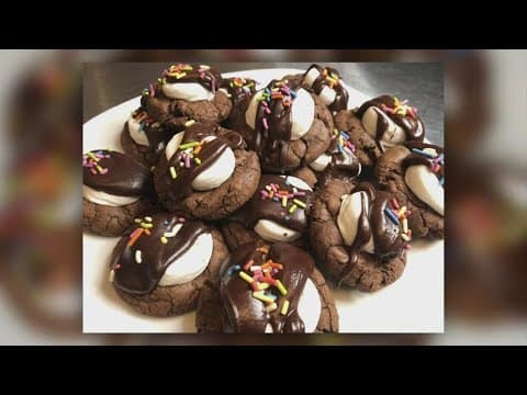 Brittany's Bites | Hot Cocoa Cookies