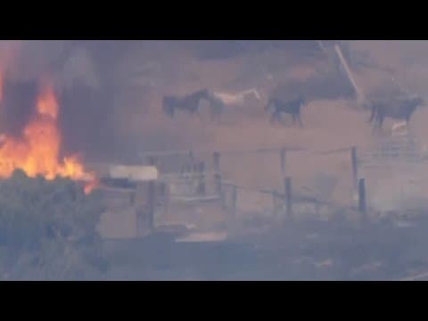 Horses flee stable fire in Riverside County, California