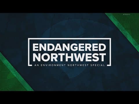 Endangered Northwest: The impact of the Endangered Species Act, 50 years later