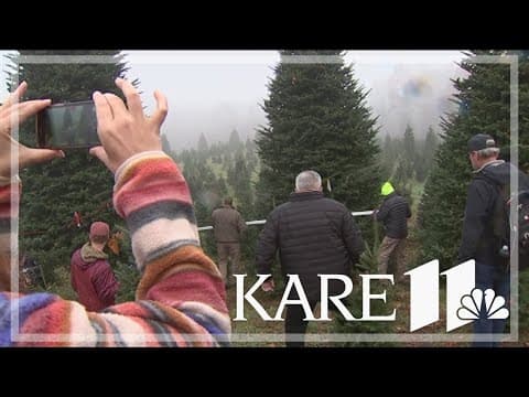 North Carolina tree to make trip to Washington