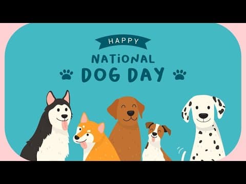 Celebrate National Dog Day with Lucky Dog Animal Rescue