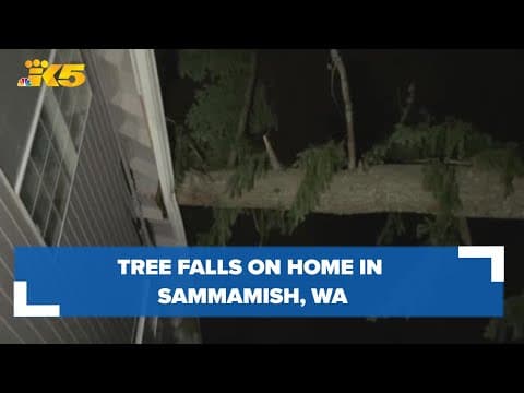 Tree falls on Sammamish home