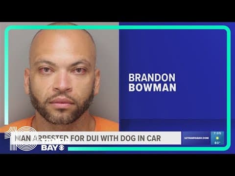 Man with suspended license arrested for DUI with his dog in the car, troopers say