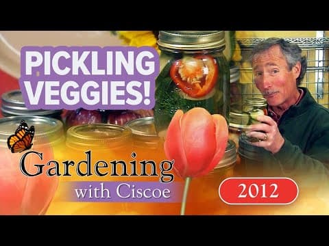PICKLING VEGGIES! Make Your Own Summer Snacks! | Gardening With Ciscoe | Full Episode