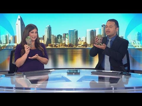 Celebrating Arbor Day and Superhero Day with Groot plants