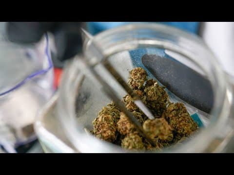 Ohioans vote 'yes' to legalization of recreational marijuana
