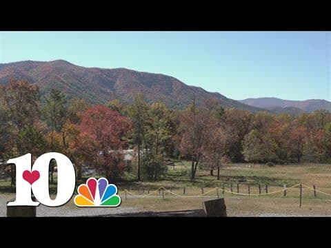 Visitors across the nation come to Great Smoky Mountains to get signature fall view
