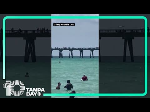 Shark spotted at Navarre Beach, Florida, sends people rushing out of water
