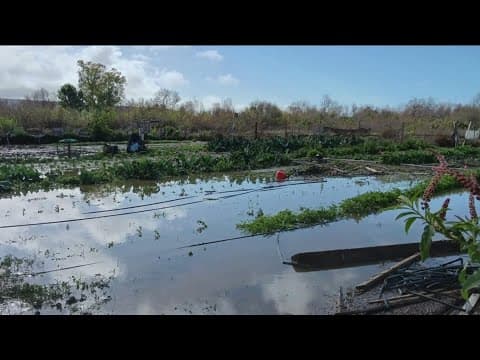 San Diego Winter storms flood farms near the border | Earth 8