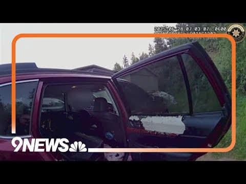 Sheriff's deputy helps free bear stuck in a sedan