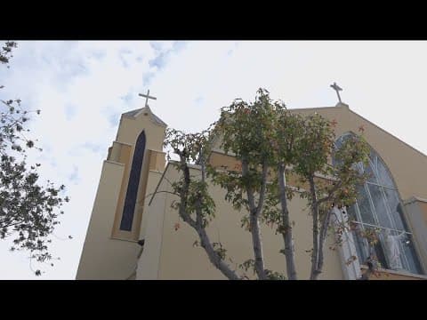 Pope formally approves same-sex blessings