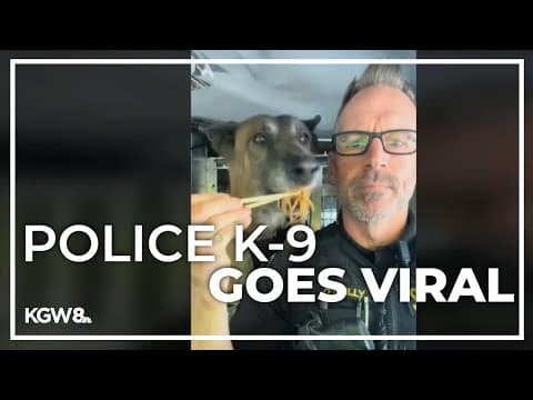 Washington County K-9 named Radar becomes a social media star