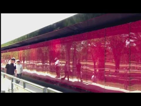Poppies Grace The National Mall for Memorial Weekend Poppy Honor Wall