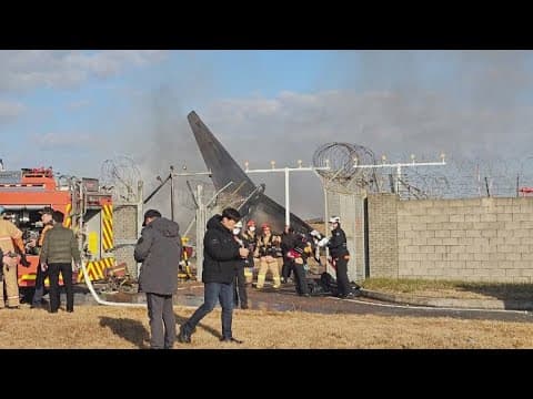 Plane burst into flames after skidding off runway at an airport in South Korea, killing at least 85