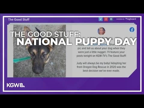 The Good Stuff: Celebrating National Puppy Day
