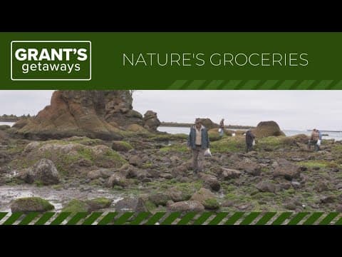 From the beaches to the woods, Oregon is full of nature's groceries