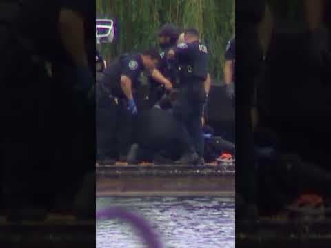 Suspect jumps into Lake Washington attempting to avoid arrest by Seattle police #king5 #seattle
