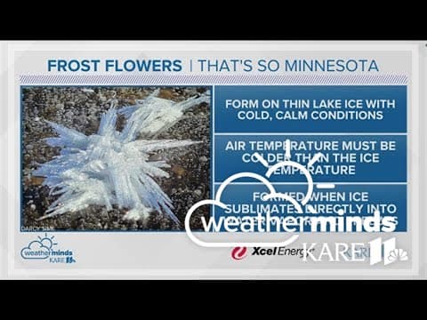 WeatherMinds: How are frost flowers formed?