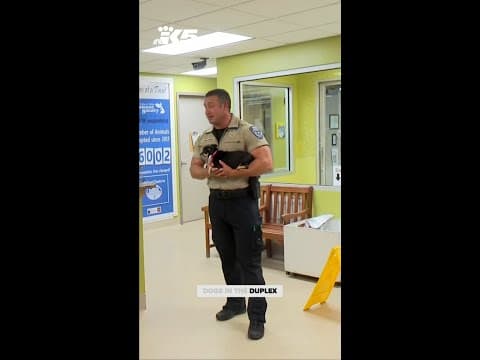 Over 100 dogs rescued from Auburn home in 'historic' operation