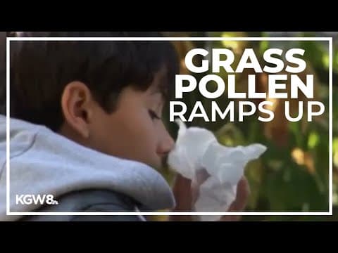 Grass pollen levels off the charts in Eugene, Willamette Valley