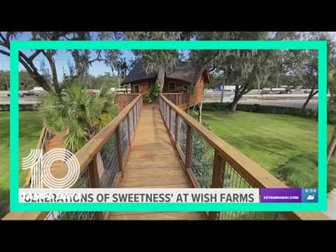 'Generations of sweetness' at Wish Farms in Plant City