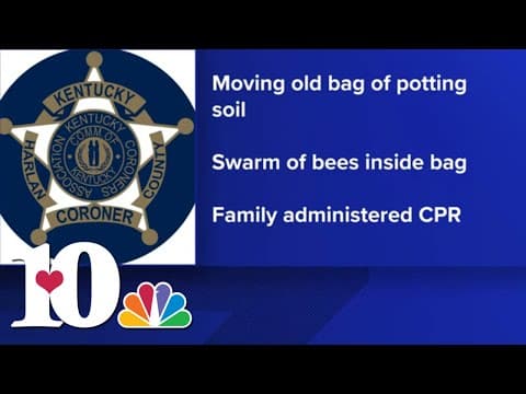 Swarm of bees kills Kentucky man