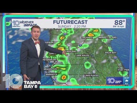 10 Tampa Bay Weather: Sunday, August 11, 2024