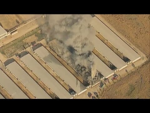 Fire destroys building at Ramona egg farm that housed 70,000 chickens
