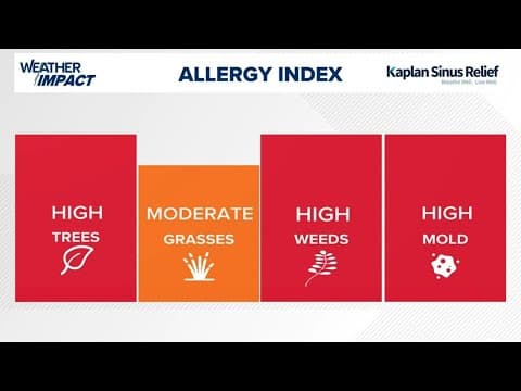 What you need to know about ragweed pollen in Houston