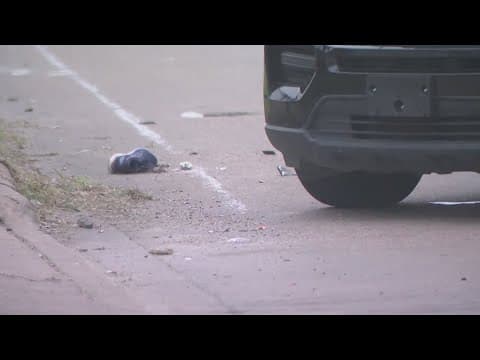 Who killed Lilia Vazquez? Houston police, Crime Stoppers ask for help finding suspect in deadly hit-