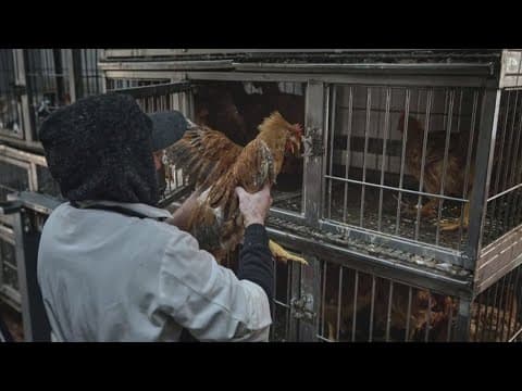 Some workers laid off in reduction efforts have now been rehired