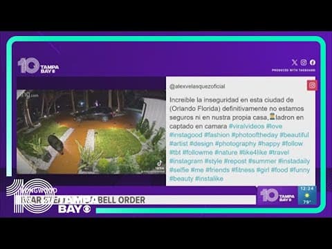 Bear caught on video stealing Taco Bell order