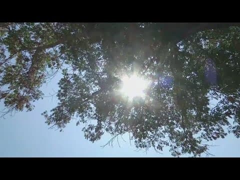 Texas' first heat-related death this year reported