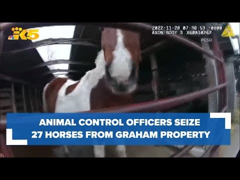 27 horses seized in Pierce County