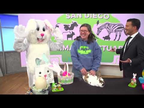 San Diego Animal Sanctuary & Farm hosting Easter egg hunts