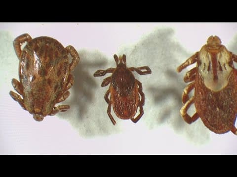 County experts offer guidance on Lyme Disease prevention