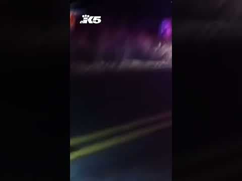 Thurston Co. deputies chase car full of people allegedly planning to burglarize pot shop